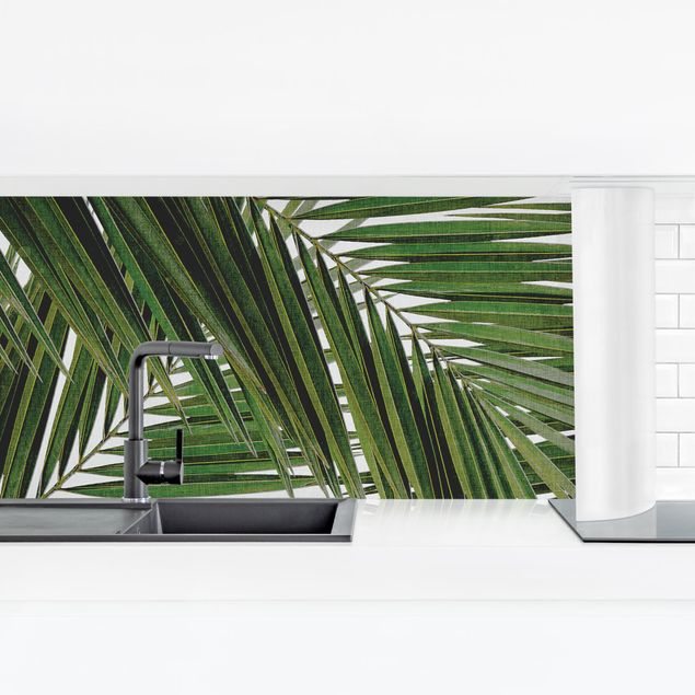Spritzschutz Küche ohne bohren Blick durch grüne Palmenblätter