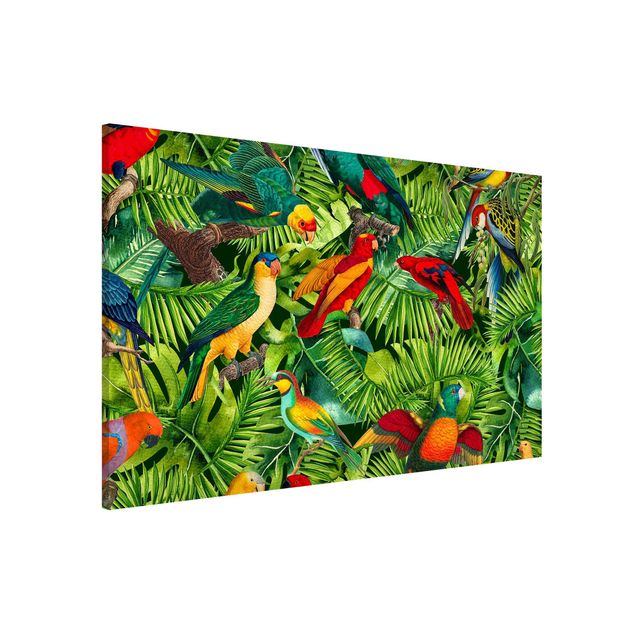 Bilder Bunte Collage - Papageien im Dschungel