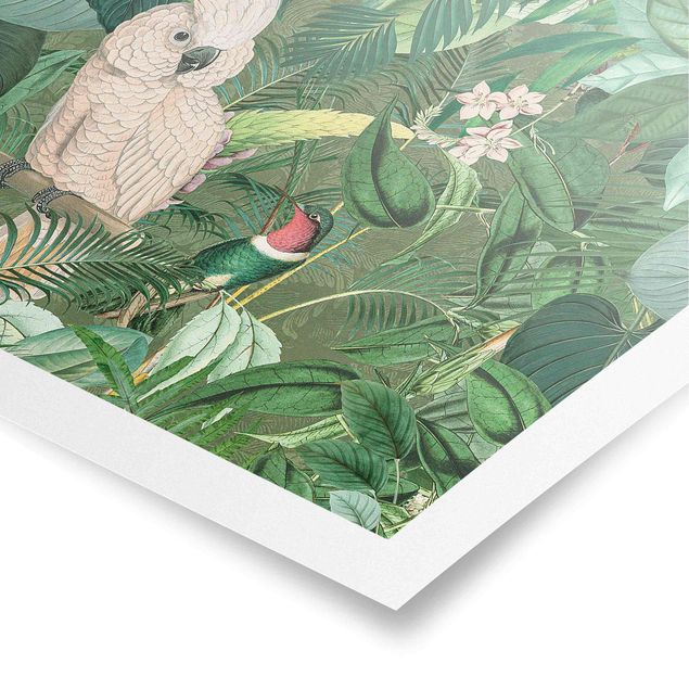 Poster Vintage Collage - Kakadu und Kolibri