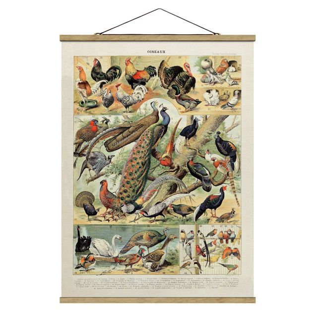 Stoffbild mit Posterleisten - Vintage Lehrtafel Europäische Vögel - Hochformat 3:4