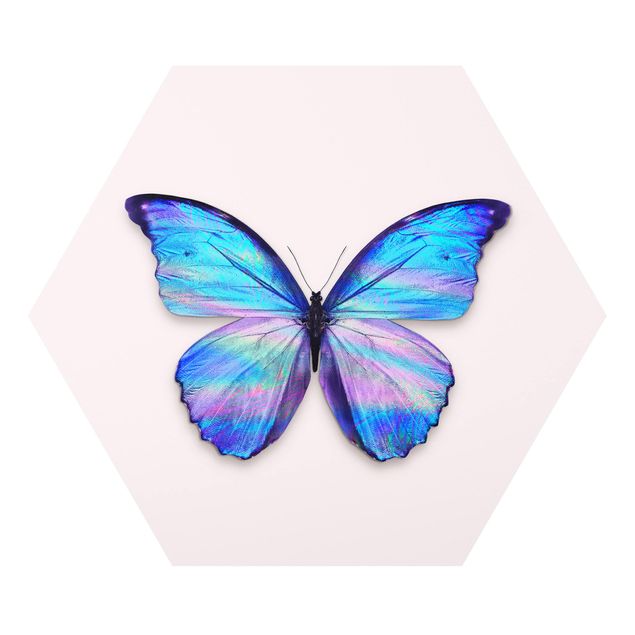 Hexagon Bild Forex - Jonas Loose - Holografischer Schmetterling