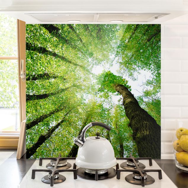 Glasrückwand Küche Wald Bäume des Lebens