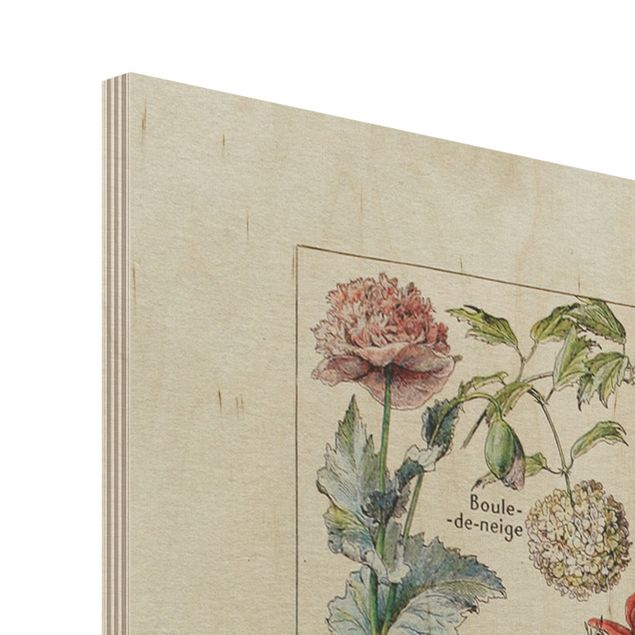 Holzbild - Vintage Lehrtafel Blumen V - Hochformat 4:3