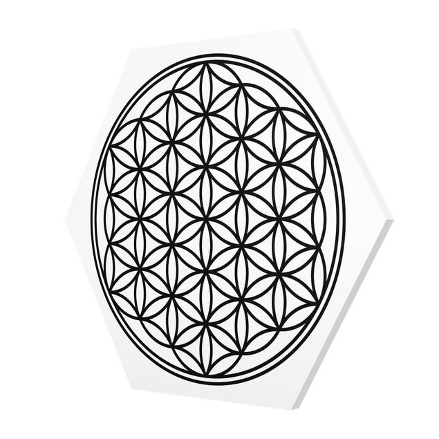 Hexagon Bild Forex - Blume des Lebens