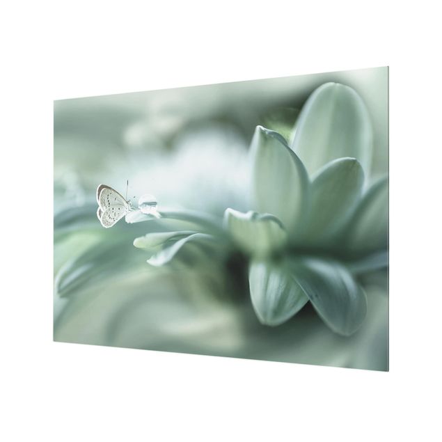 Glas Spritzschutz - Schmetterling und Tautropfen in Pastellgrün - Querformat - 4:3