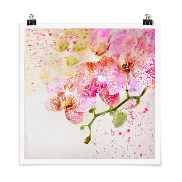 Poster - Aquarell Blumen Orchideen - Quadrat 1:1