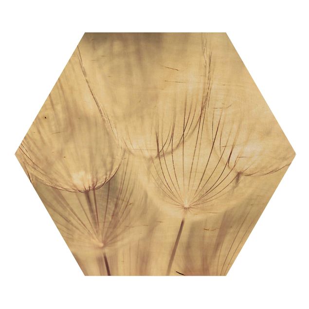 Hexagon Bild Holz - Pusteblumen Nahaufnahme in wohnlicher Sepia Tönung