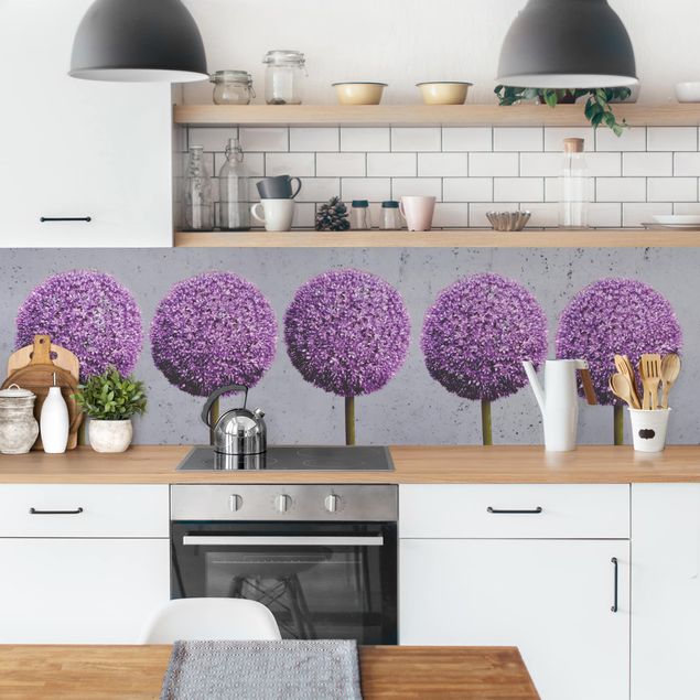 Wandpaneele Küche Allium Kugel-Blüten I