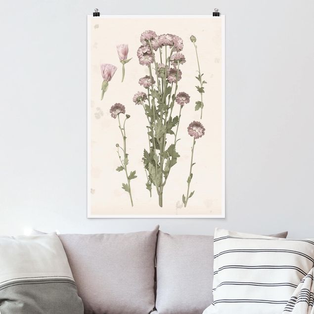 XXL Poster Herbarium in rosa I