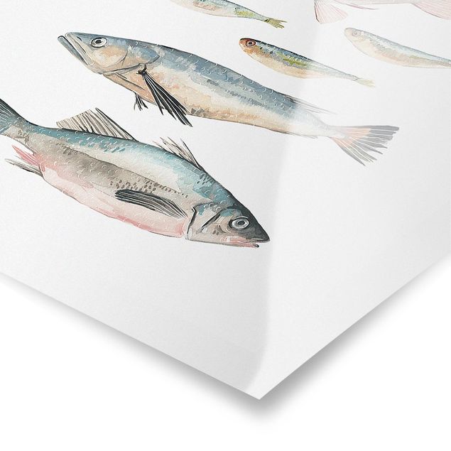 Poster bestellen Sieben Fische in Aquarell II