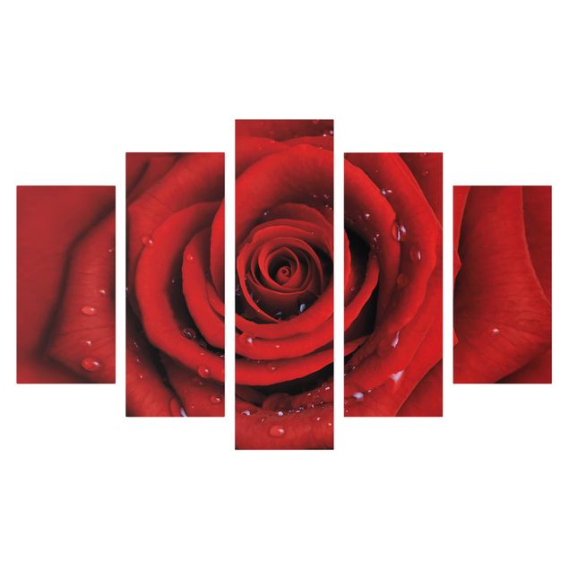 Leinwandbilder kaufen Rote Rose mit Wassertropfen
