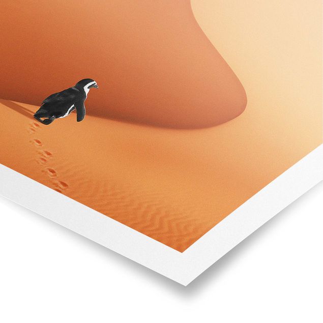Bilder Wüste mit Pinguin
