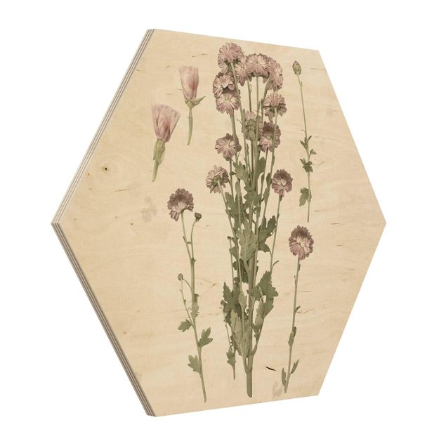 Hexagon Bild Holz - Herbarium in rosa I