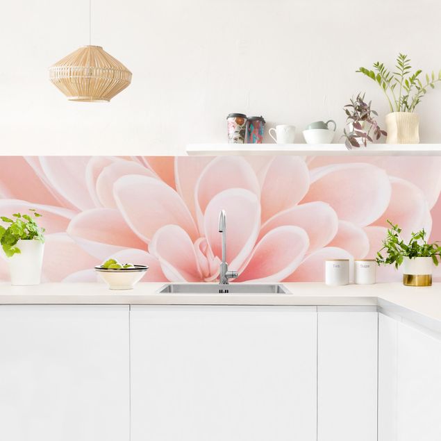 Küchenrückwand selbstklebend Dahlie in Pastellrosa