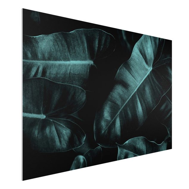 Kubistika Poster Dschungel Blätter Dunkelgrün