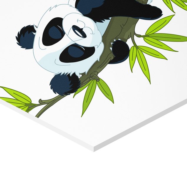 Hexagon Bild Forex 3-teilig - Pandabären Set