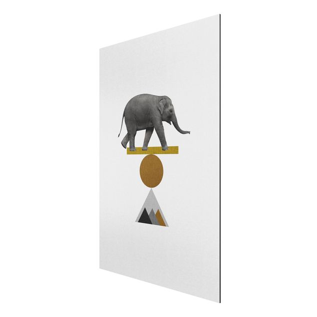 Alu-Dibond - Balancekunst Elefant - Querformat