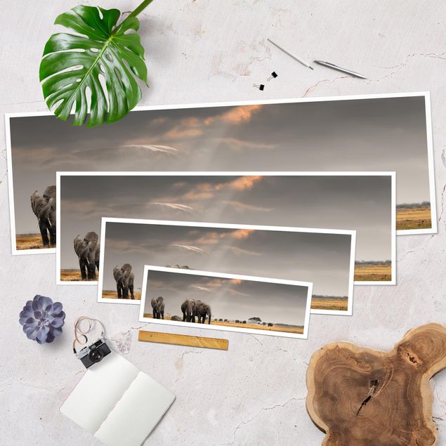 Poster - Elefanten der Savanne - Panorama Querformat