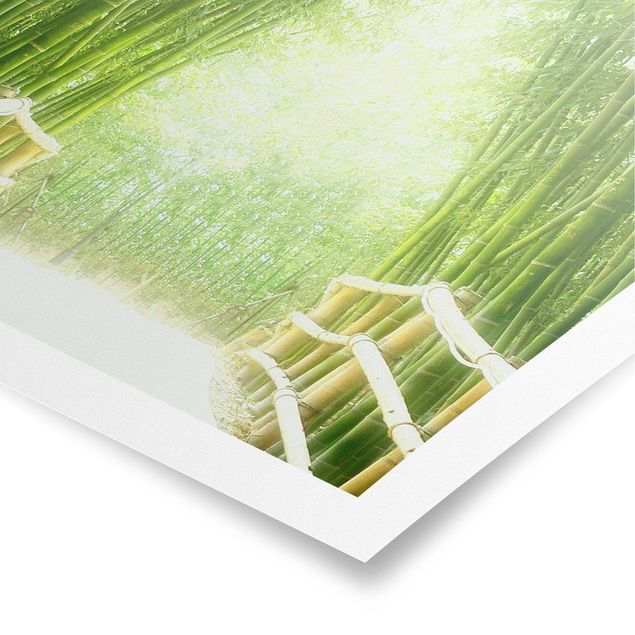 Poster - Bamboo Way - Quadrat 1:1