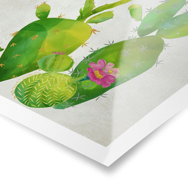 Poster bestellen Kaktusfamilie rosa gelb
