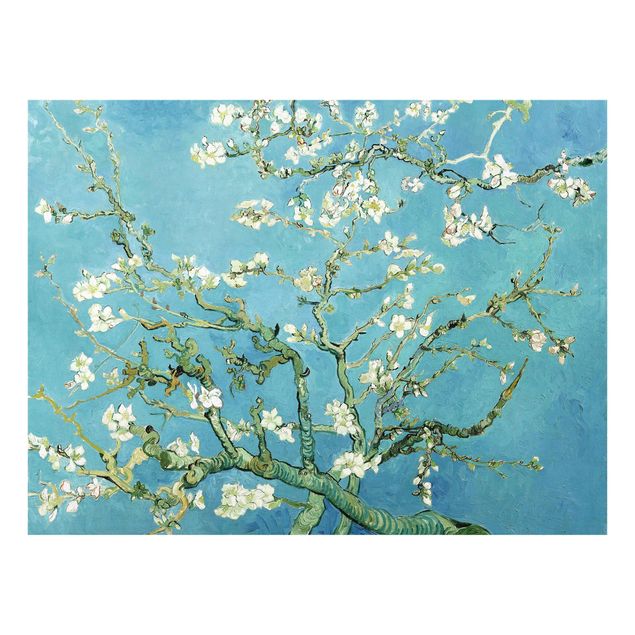 Spritzschutz Künstler Vincent van Gogh - Mandelblüte