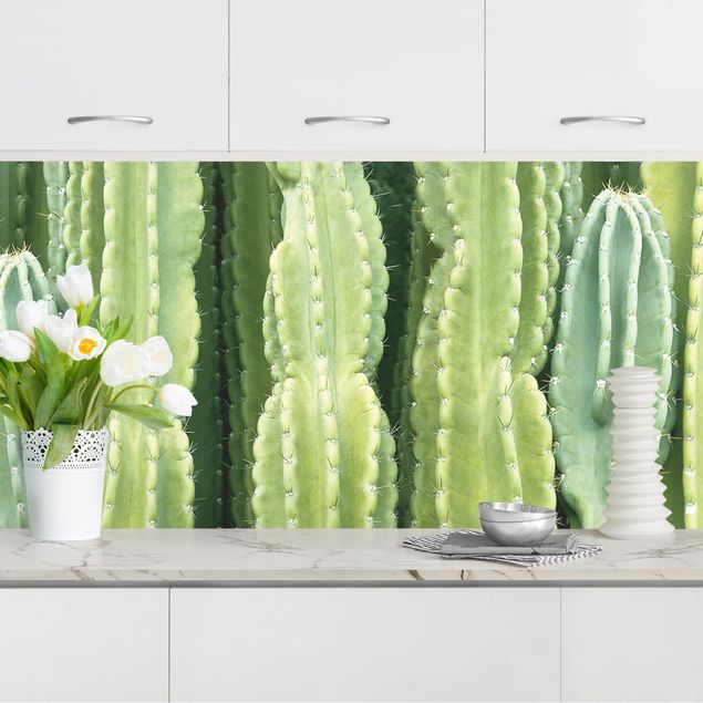 Platte Küchenrückwand Kaktus Wand