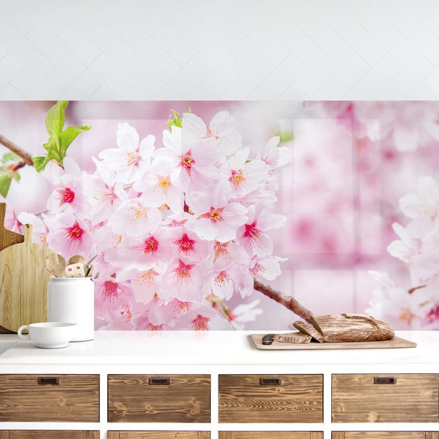 Platte Küchenrückwand Japanische Kirschblüten