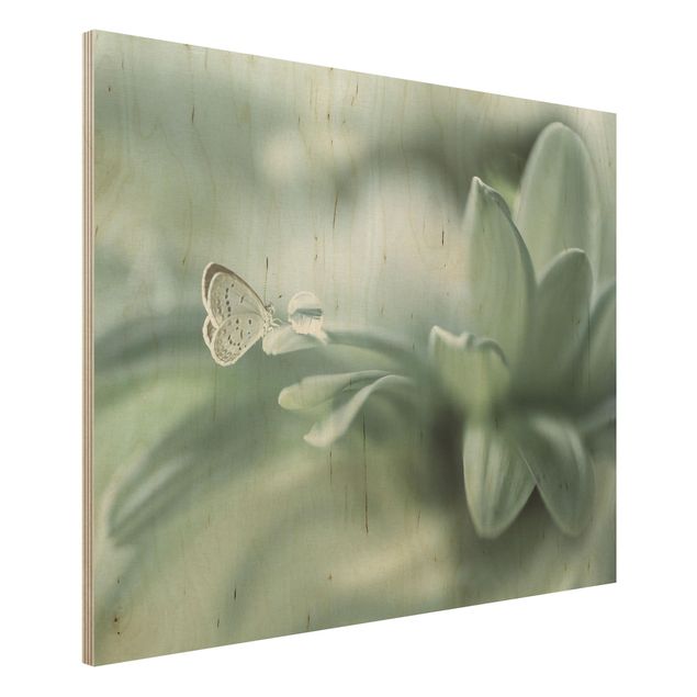 Bilder auf Holz Schmetterling und Tautropfen in Pastellgrün