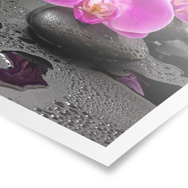 Poster bestellen Pinke Orchideenblüten auf Steinen mit Tropfen