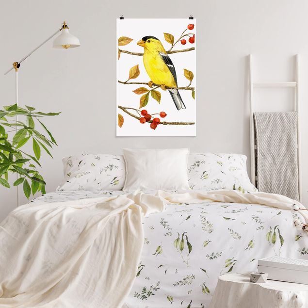Vintage Poster Vögel und Beeren - Goldzeisig