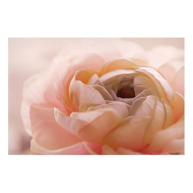 Magnettafel - Rosa Blüte im Fokus - Hochformat 3:2