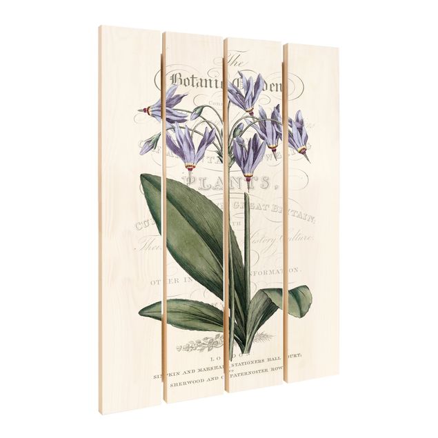 Holzbild - Botanisches Tableau - Götterblume - Hochformat 3:2