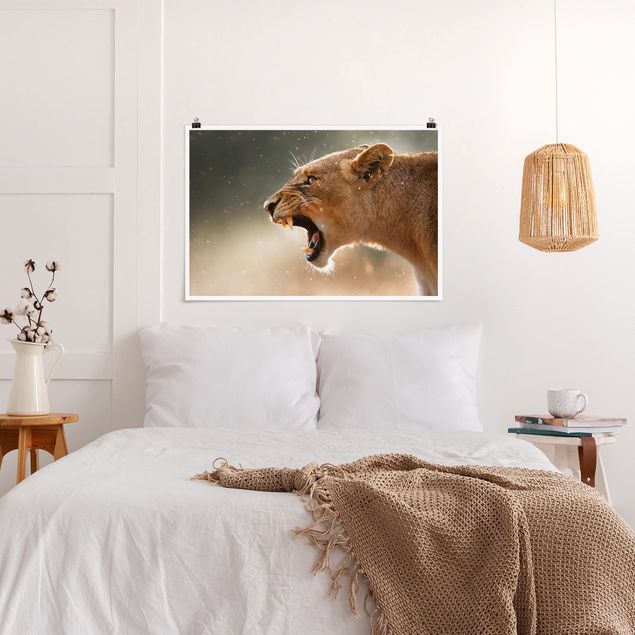 Poster - Löwin auf der Jagd - Querformat 2:3