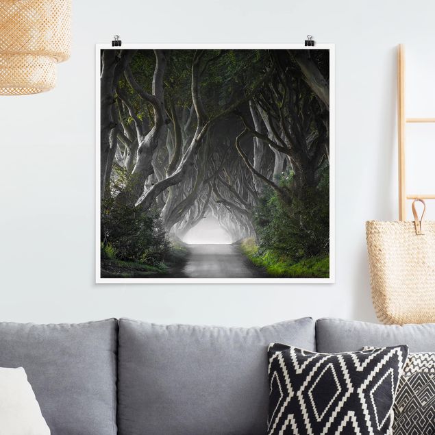 Landschaft Poster kaufen Wald in Nordirland