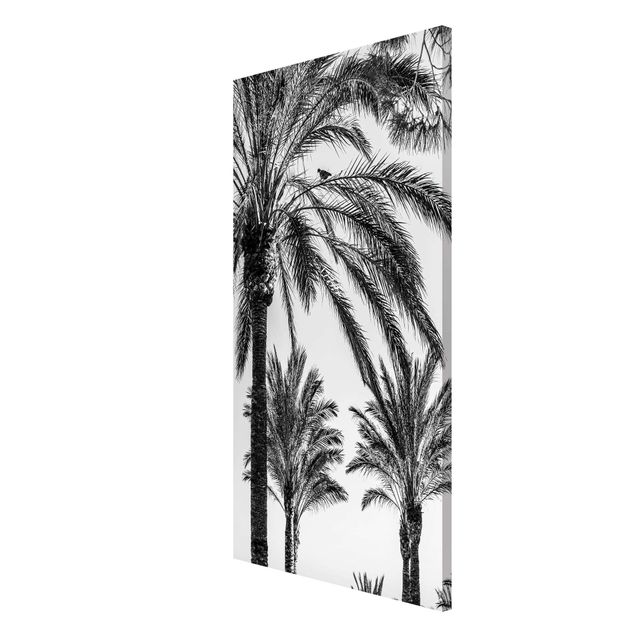 Magnettafel Design Palmen im Sonnenuntergang Schwarz-Weiß