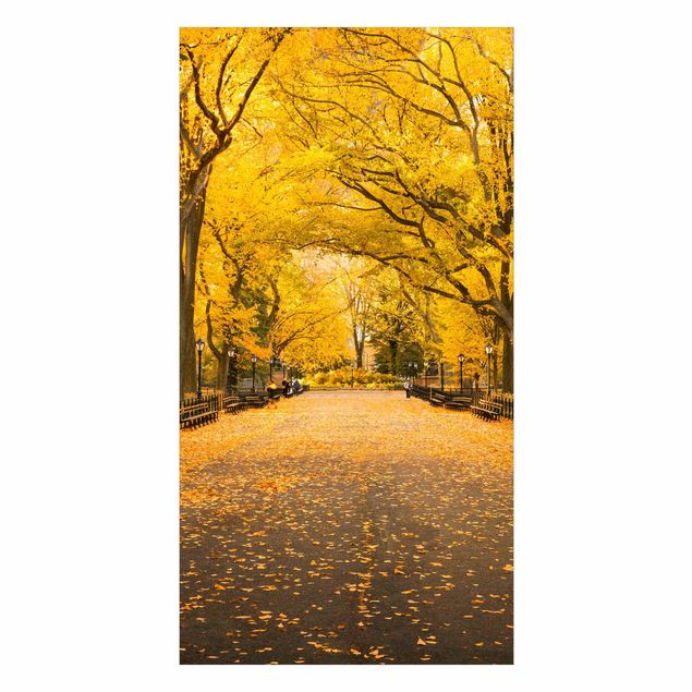 Duschrückwand - Herbst im Central Park