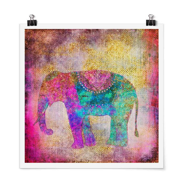 Poster - Bunte Collage - Indischer Elefant - Quadrat 1:1