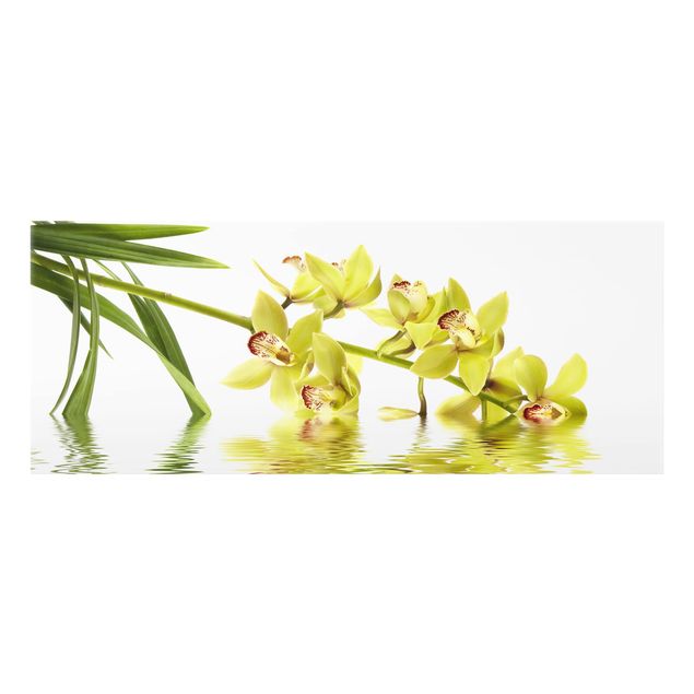 Spritzschutz Glas - Elegant Orchid Waters - Panorama - 5:2