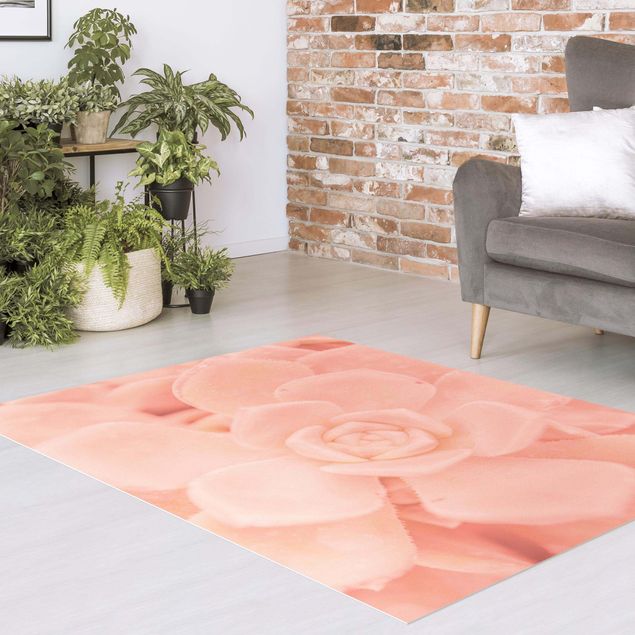 Teppich modern Rosa Blütenzauber Echeveria