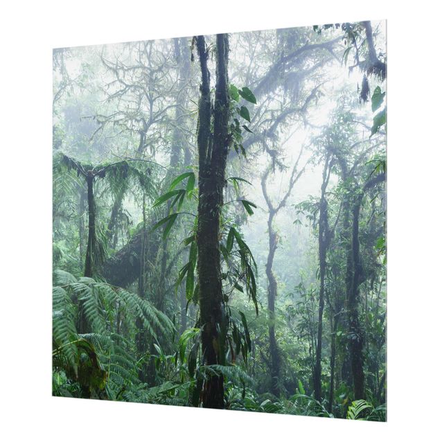 Spritzschutz - Monteverde Nebelwald - Quadrat 1:1