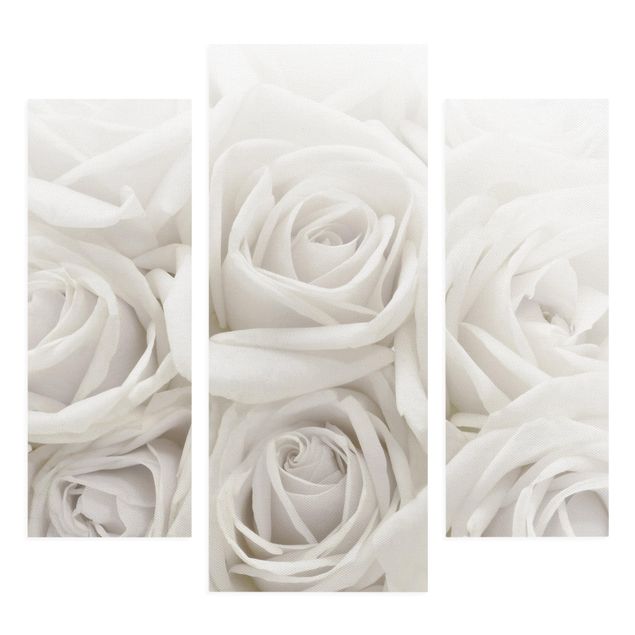 Leinwandbild 3-teilig - Weiße Rosen - Galerie Triptychon