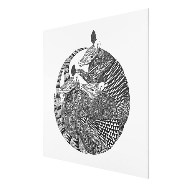 Bilder auf Hartschaumplatte Illustration Gürteltiere Schwarz Weiß Muster