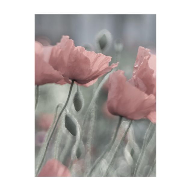 Teppich rosa Malerische Mohnblumen