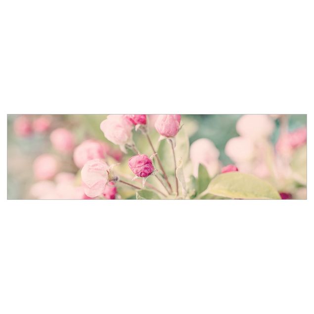 Küchenrückwand Motiv Apfelblüte Bokeh rosa