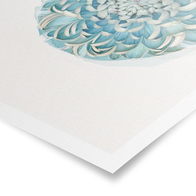 Poster - Wasserfarben - Blaue Chrysantheme - Hochformat 4:3