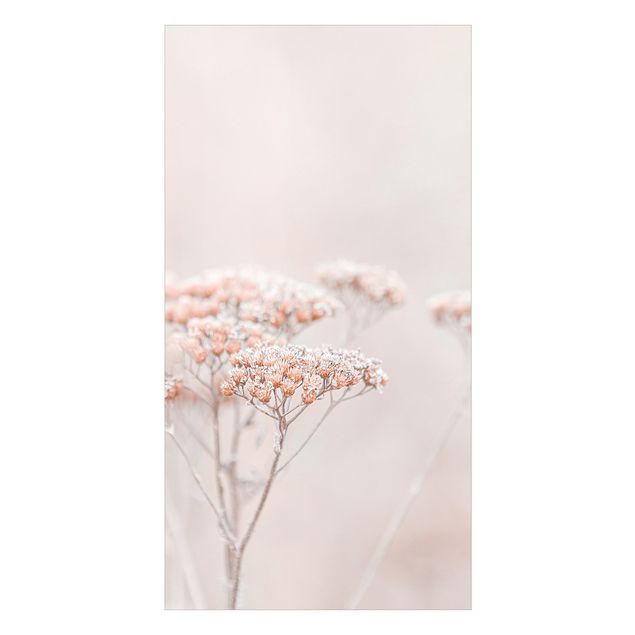Duschrückwand - Zartrosane Wildblumen