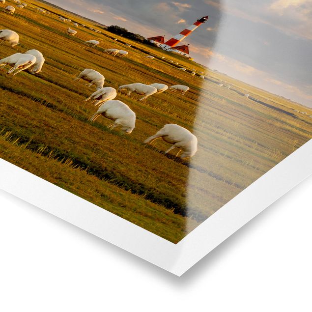Poster Nordsee Leuchtturm mit Schafsherde