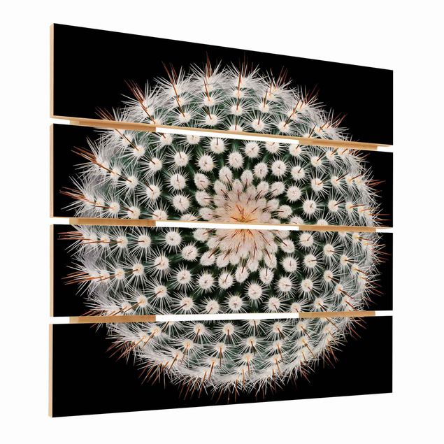 Holzbild - Kaktusblüte - Quadrat 1:1