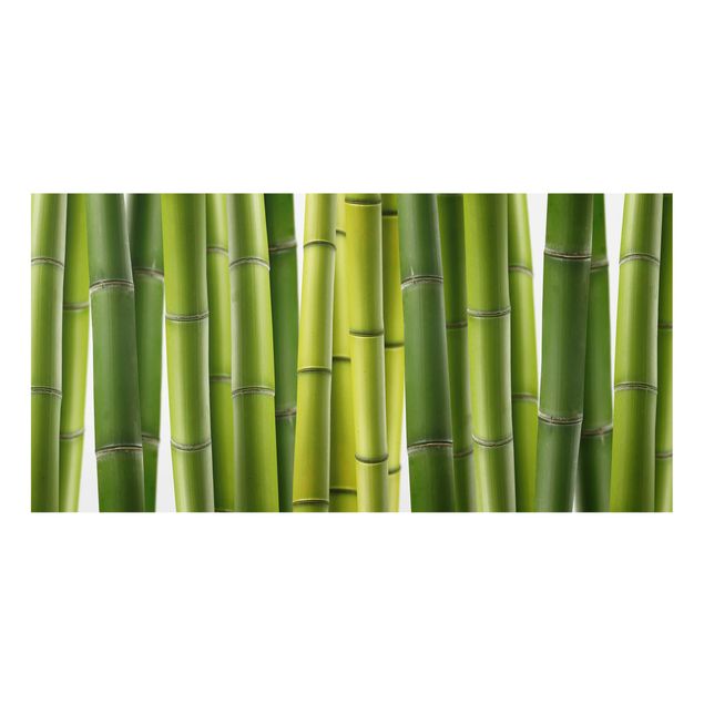 Spritzschutz Glas - Bambuspflanzen - Querformat - 2:1