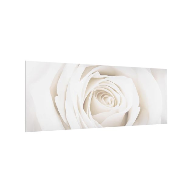 Küchenspritzschutz Pretty White Rose